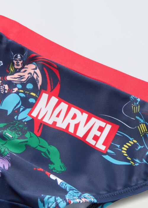 Alternative view of Kupaći