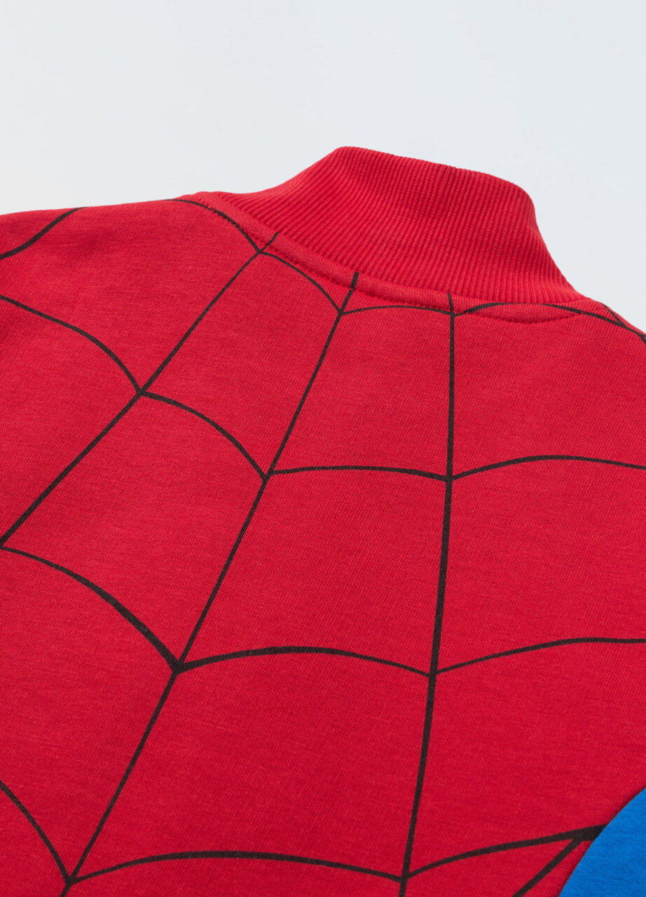 Alternative view of Dukserica Spider-man