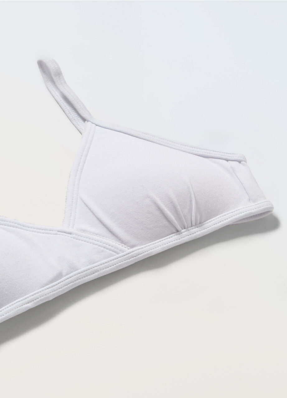 Alternative view of Grudnjak