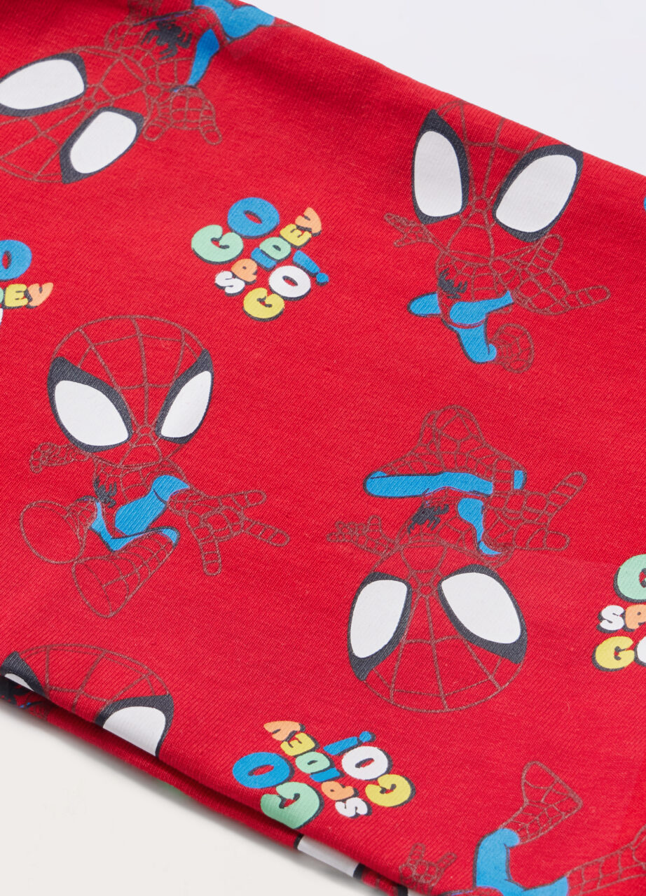 Alternative view of Šal Spidey od francuskog terrya za novorođenčad