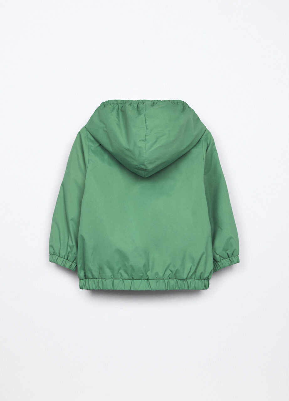 Alternative view of Jakna