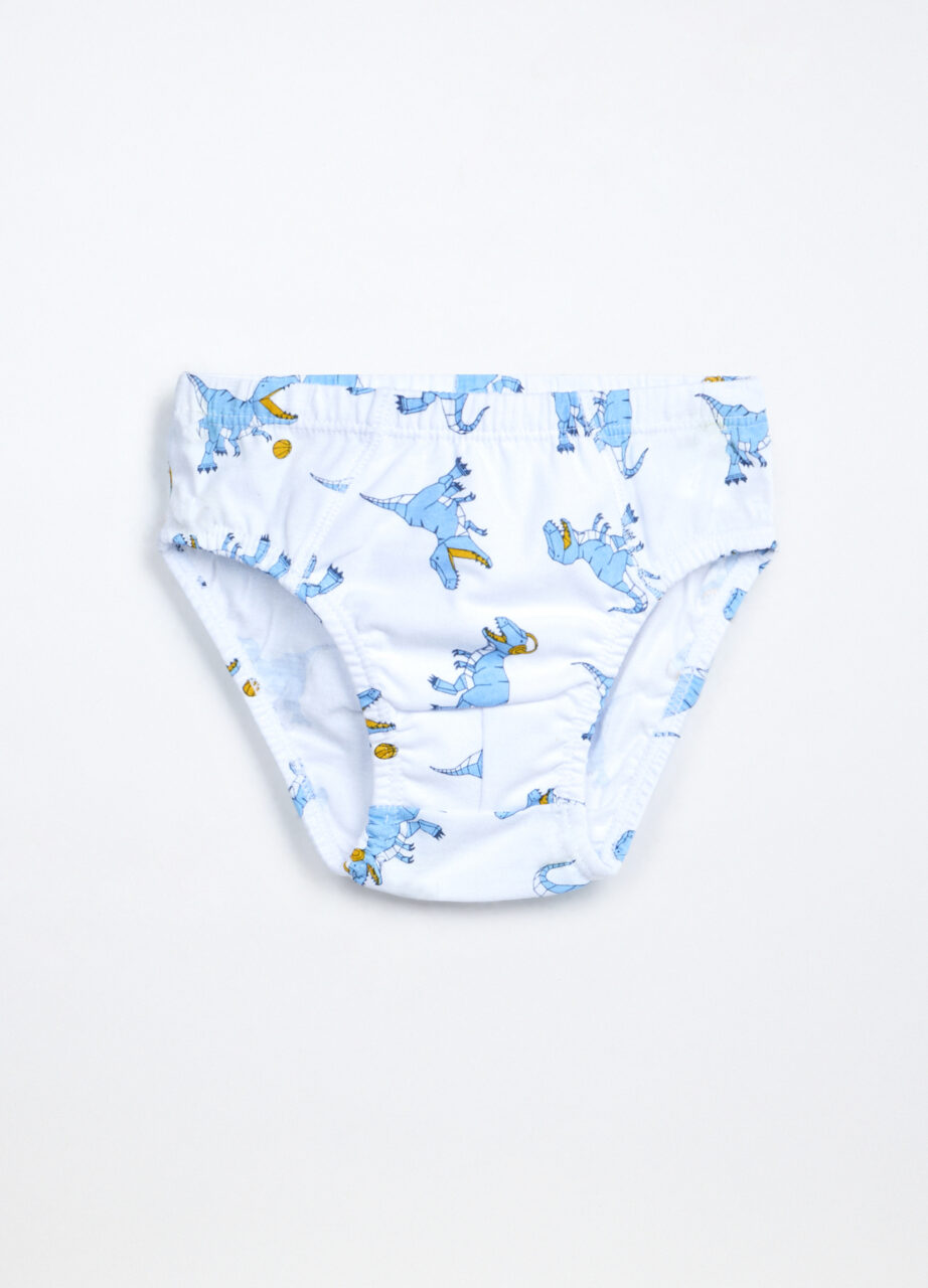 Alternative view of Gaćice