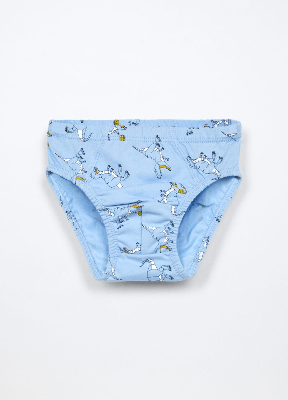 Alternative view of Gaćice