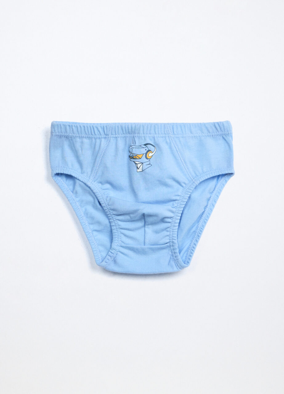 Alternative view of Gaćice