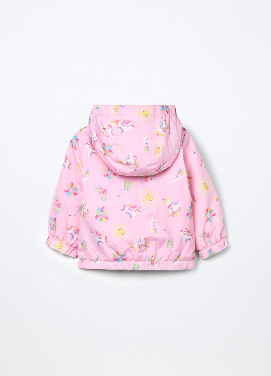 Alternative view of Jakna