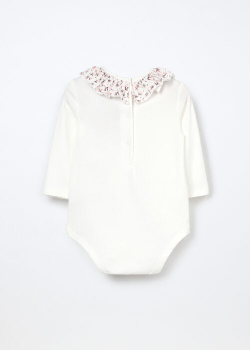 Alternative view of Body