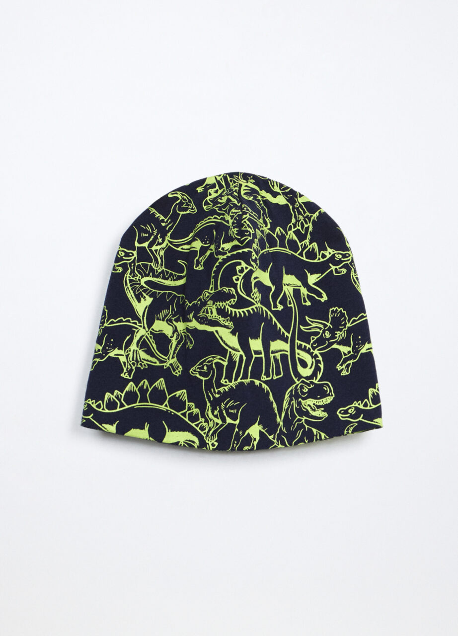 Alternative view of Kapa