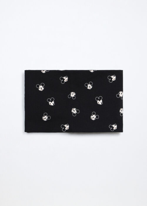 Alternative view of Šal