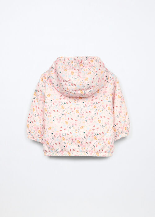 Alternative view of Jakna