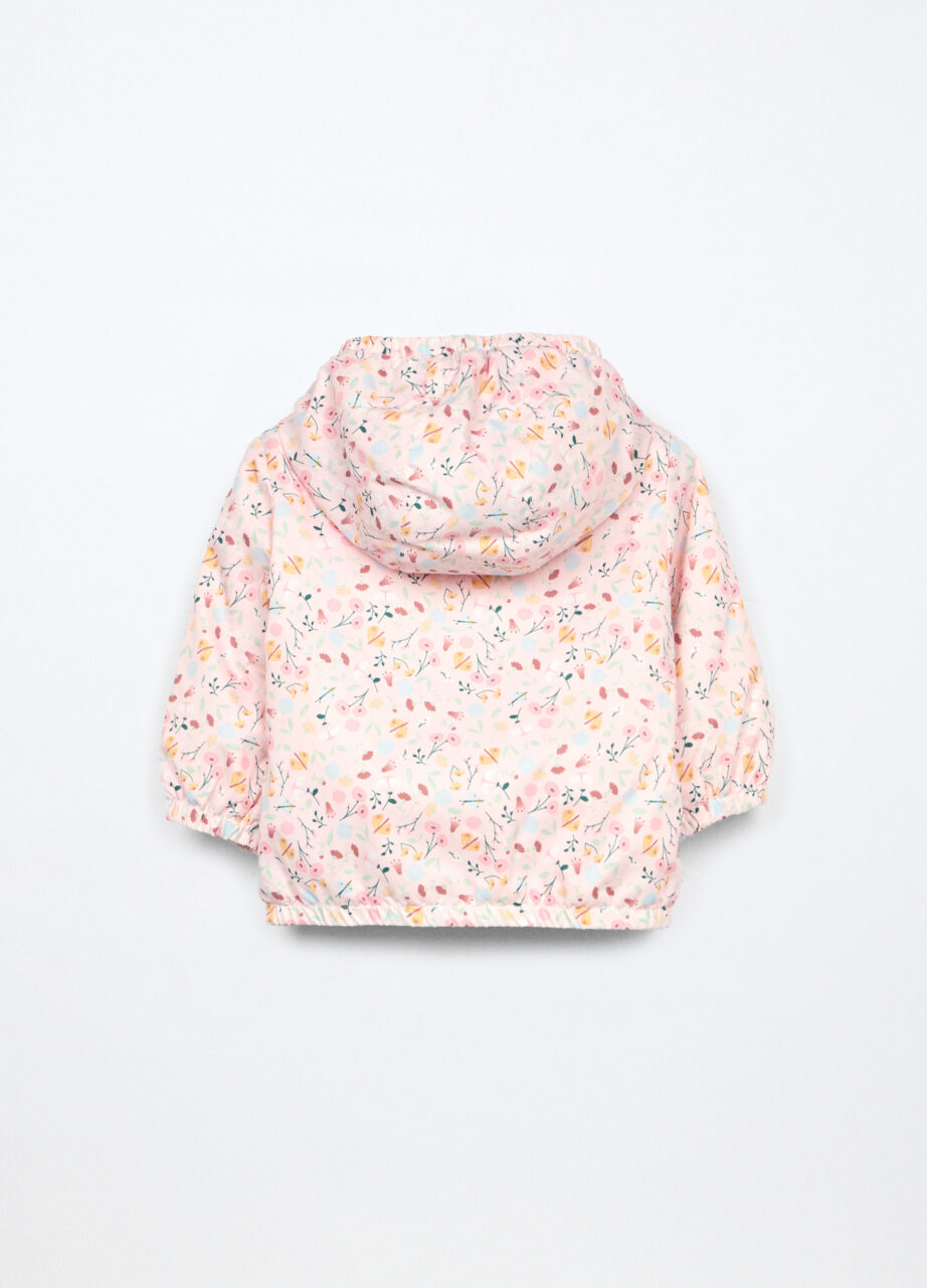 Alternative view of Jakna