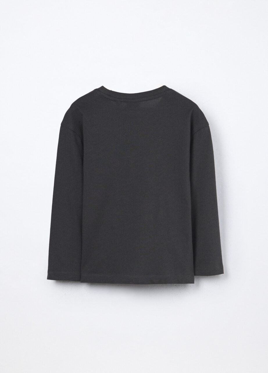 Alternative view of Majica