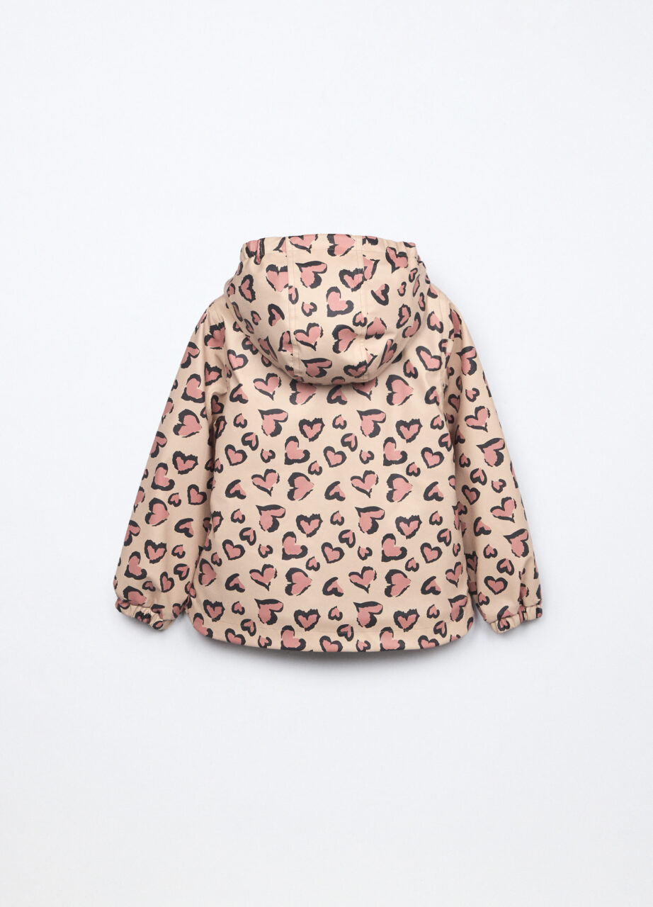 Alternative view of Jakna