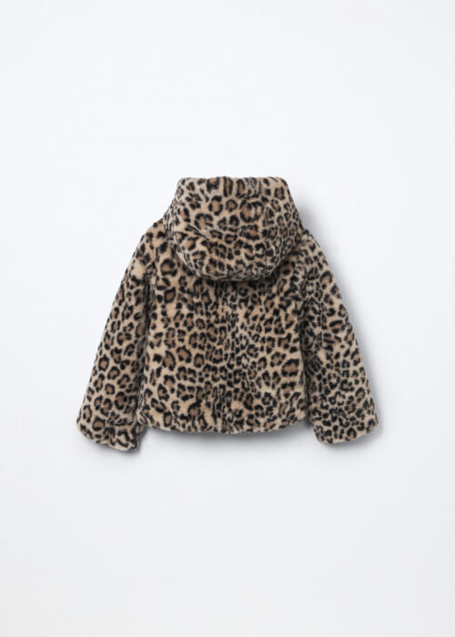 Alternative view of Jakna