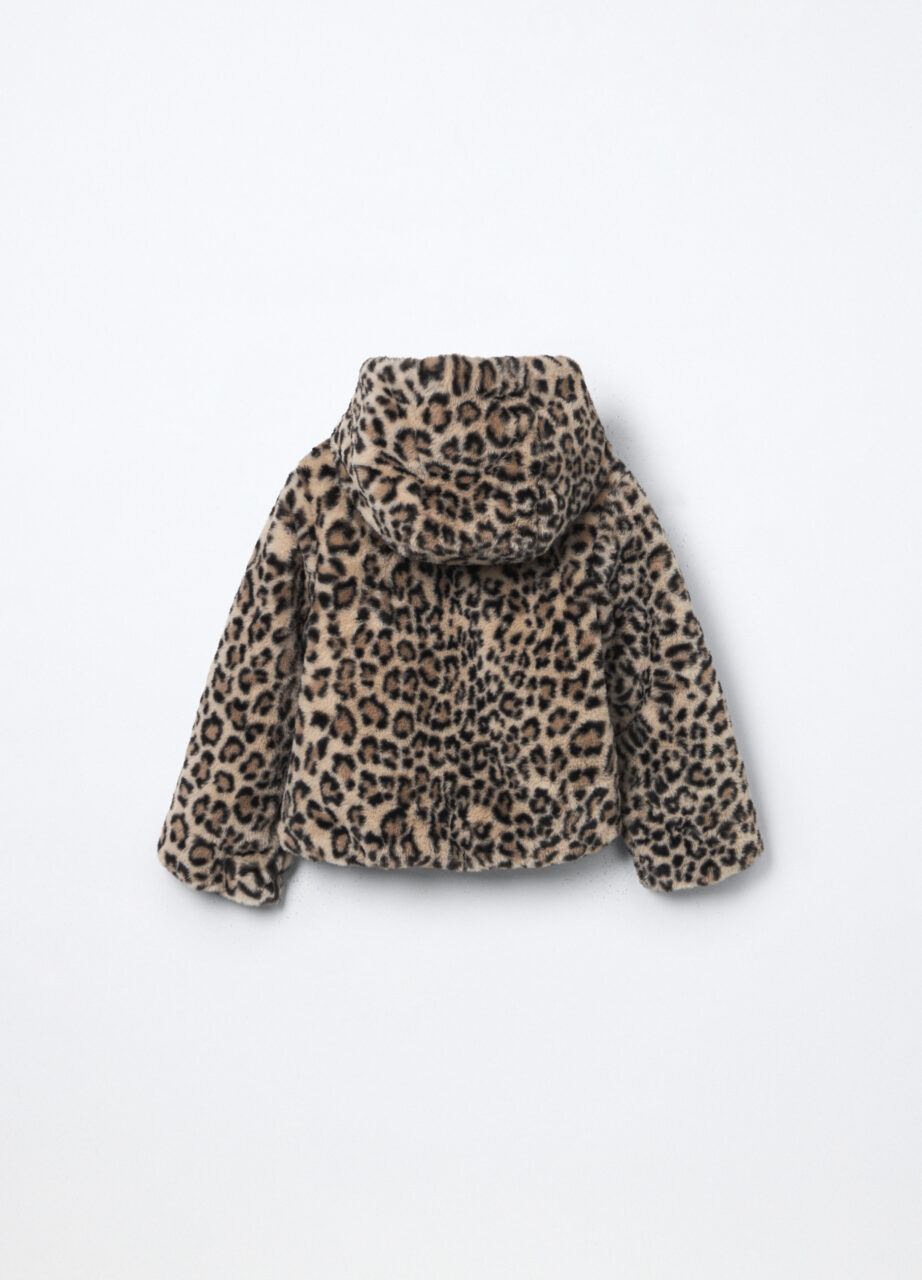 Alternative view of Jakna