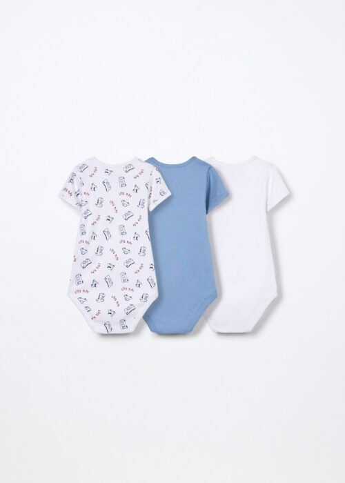 Alternative view of Body set