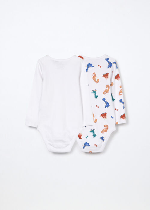 Alternative view of Body set