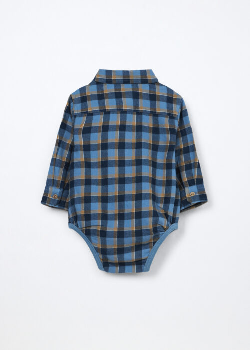 Alternative view of Body