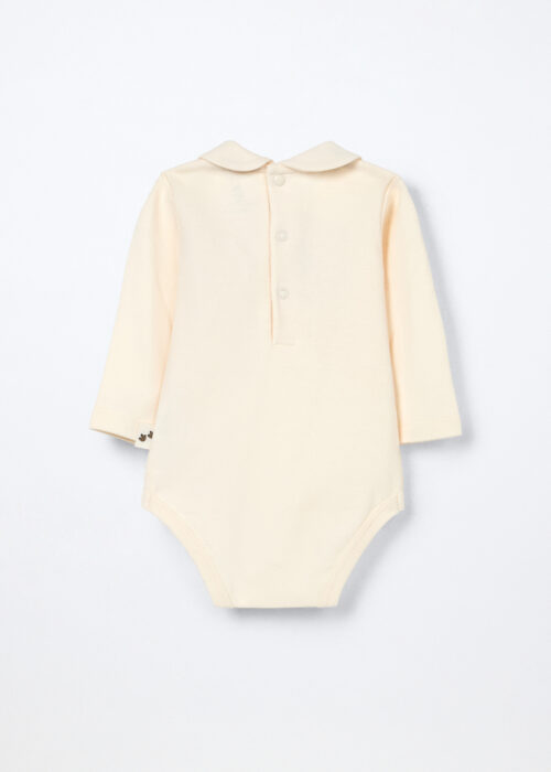 Alternative view of Body