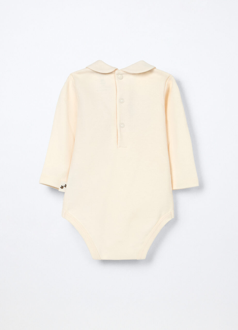 Alternative view of Body