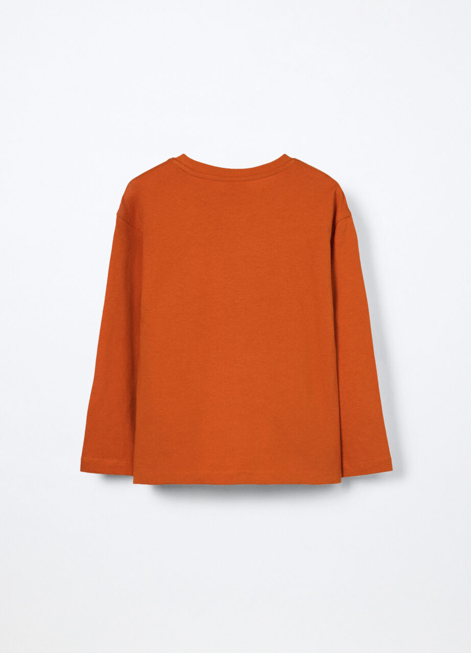 Alternative view of Majica