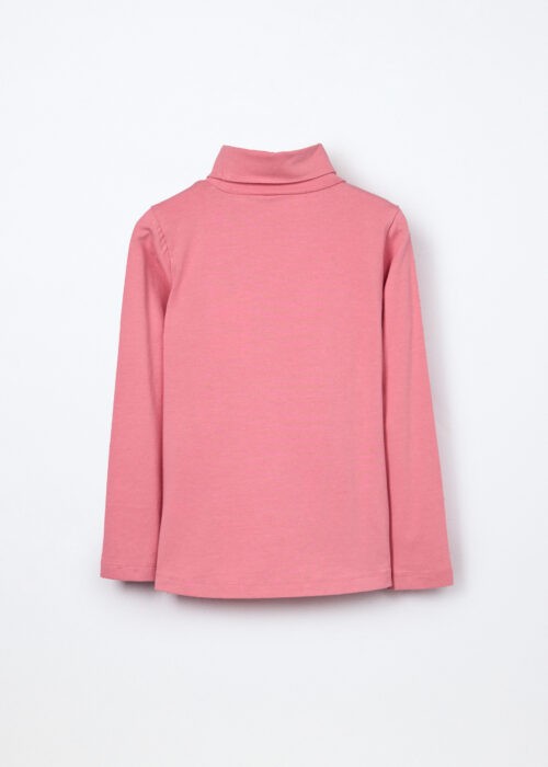 Alternative view of Rolka