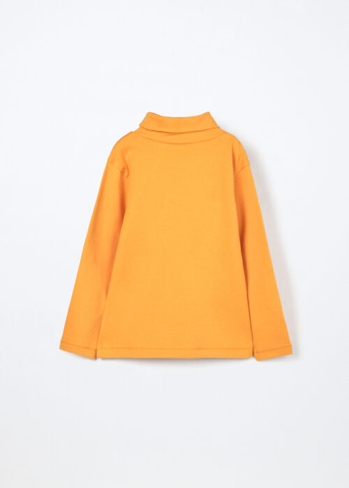 Alternative view of Rolka