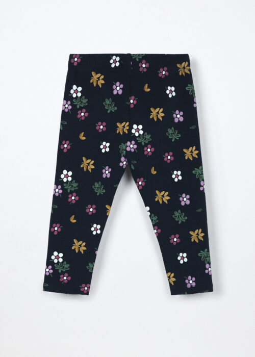 Alternative view of Helanke