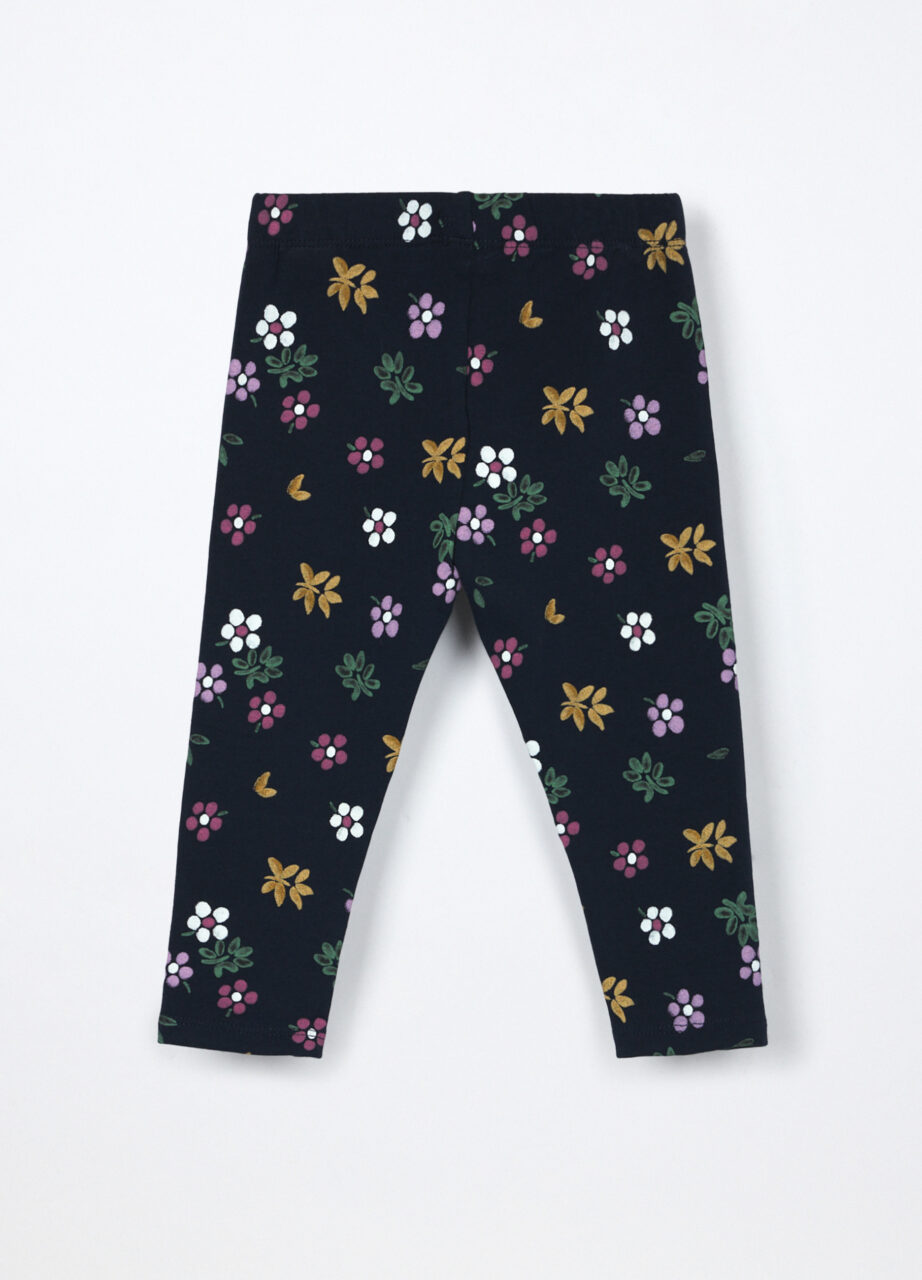 Alternative view of Helanke