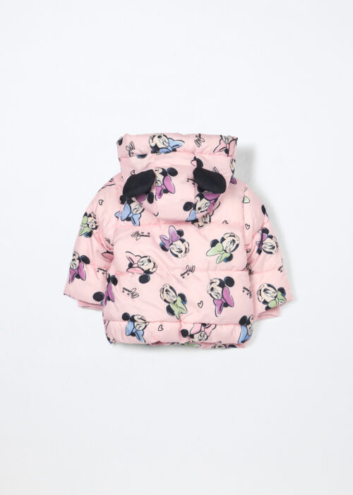 Alternative view of Jakna