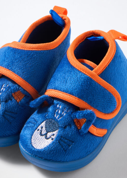 Alternative view of Pape