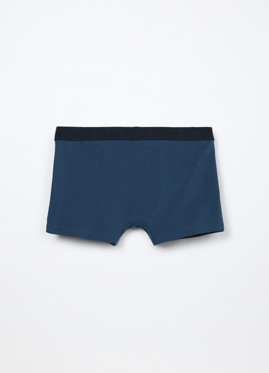 Alternative view of Bokserice