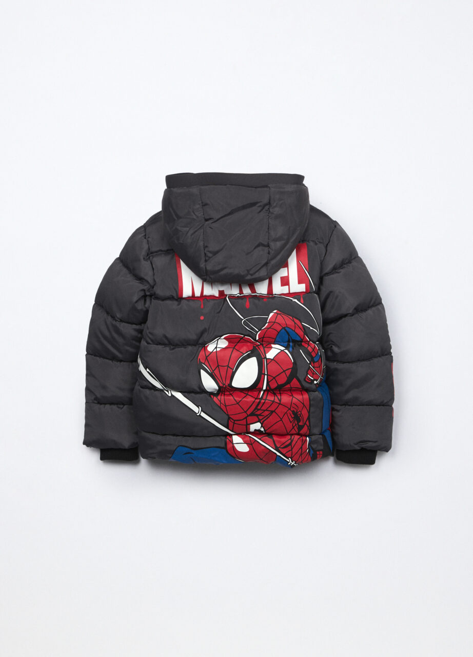 Alternative view of Jakna