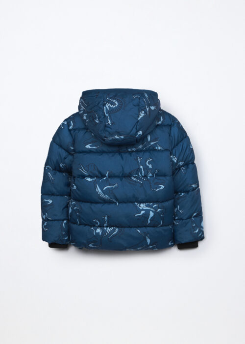 Alternative view of Jakna