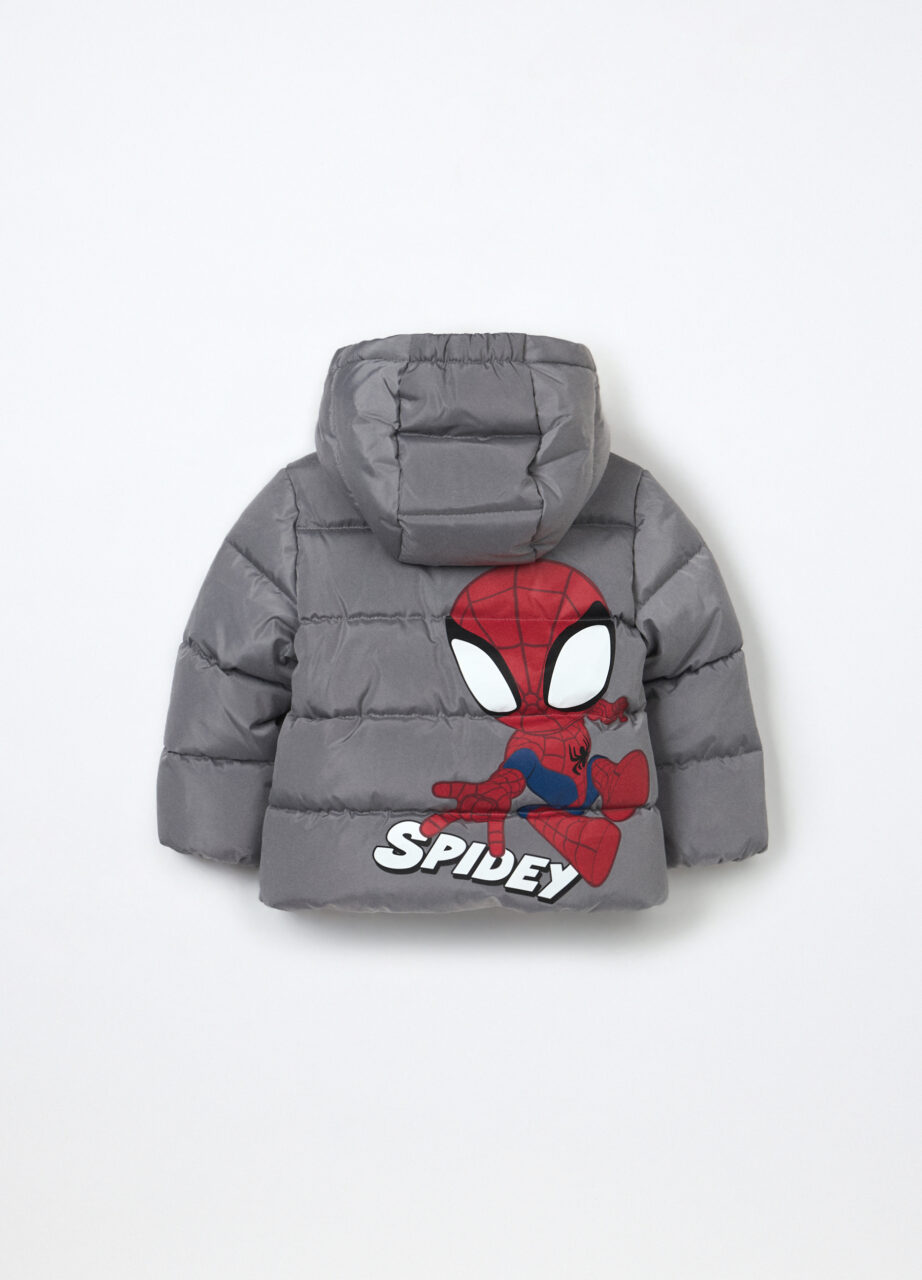 Alternative view of Jakna