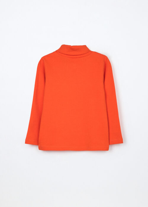 Alternative view of Rolka