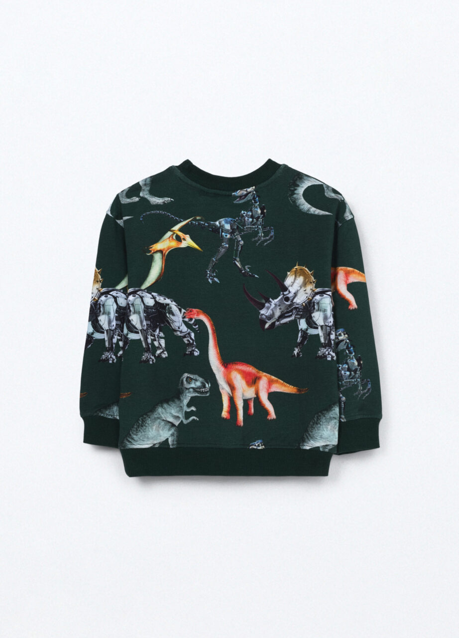 Alternative view of Majica