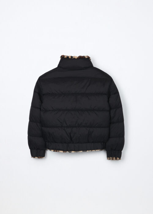 Alternative view of Jakna