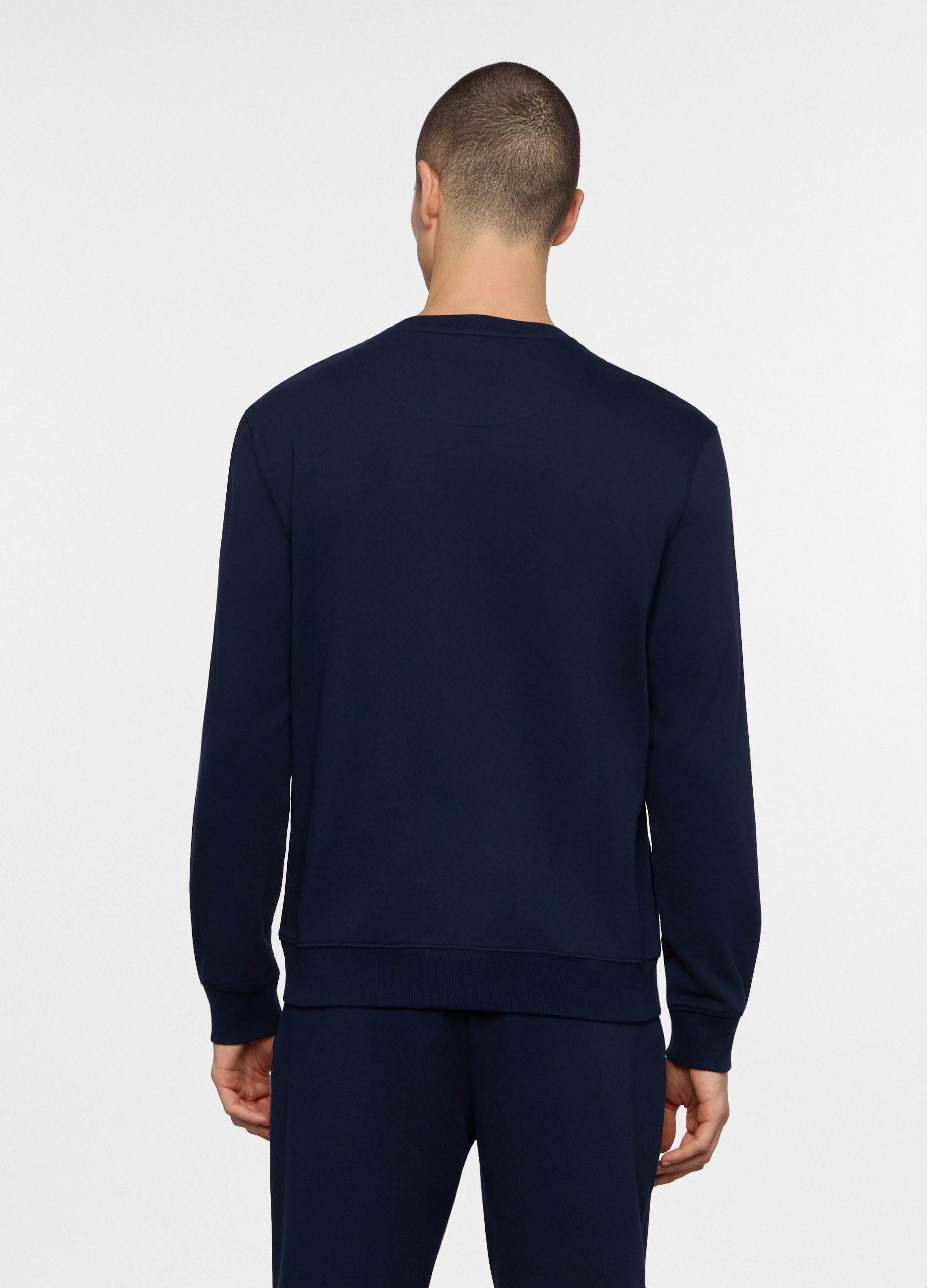 Alternative view of Majica