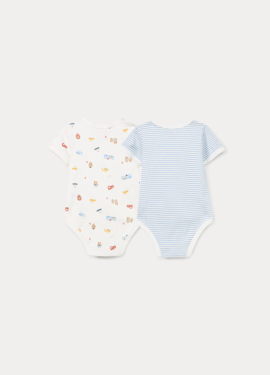 Alternative view of Body