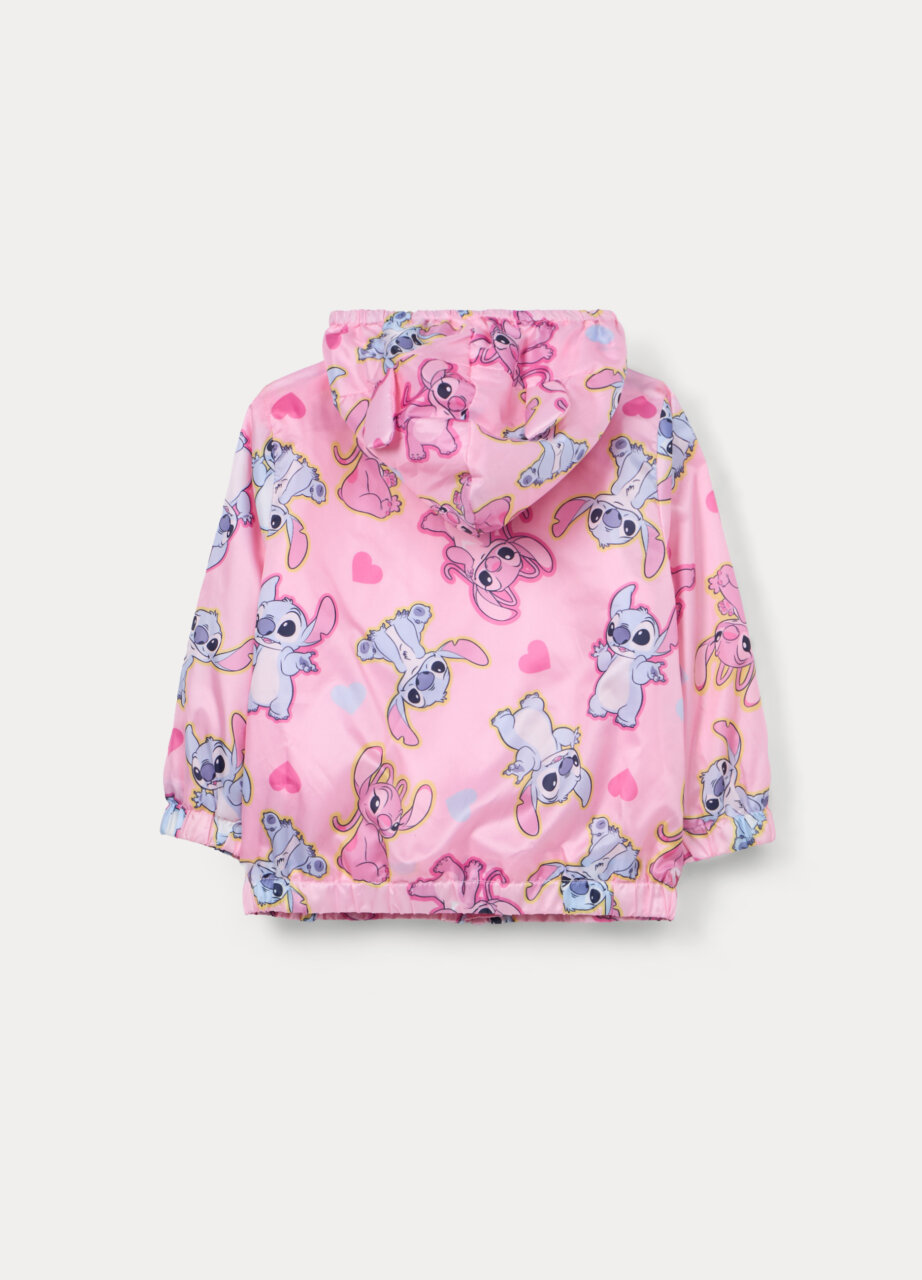 Alternative view of Jakna