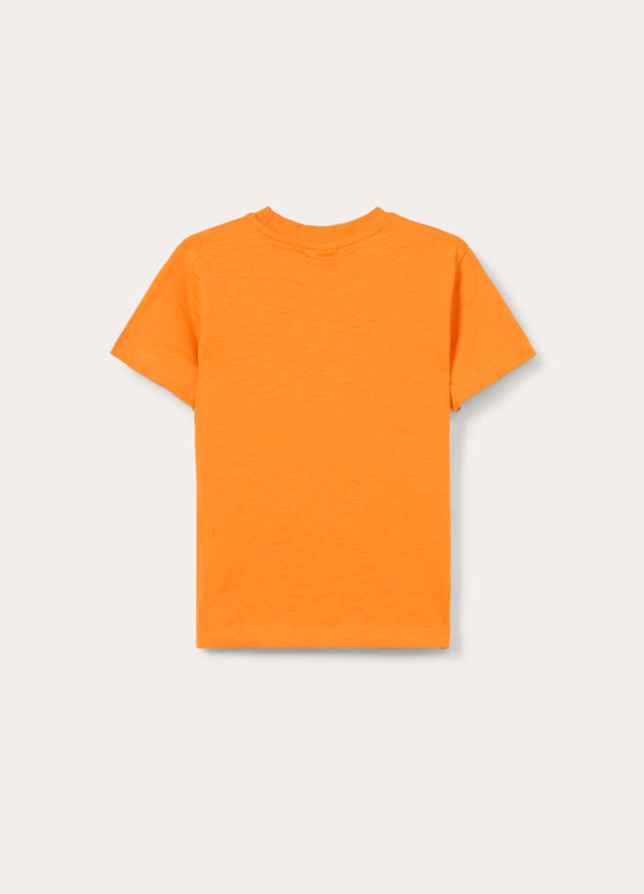 Alternative view of Majica