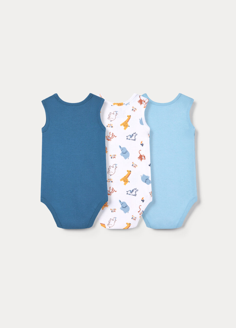 Alternative view of Body 3 kom