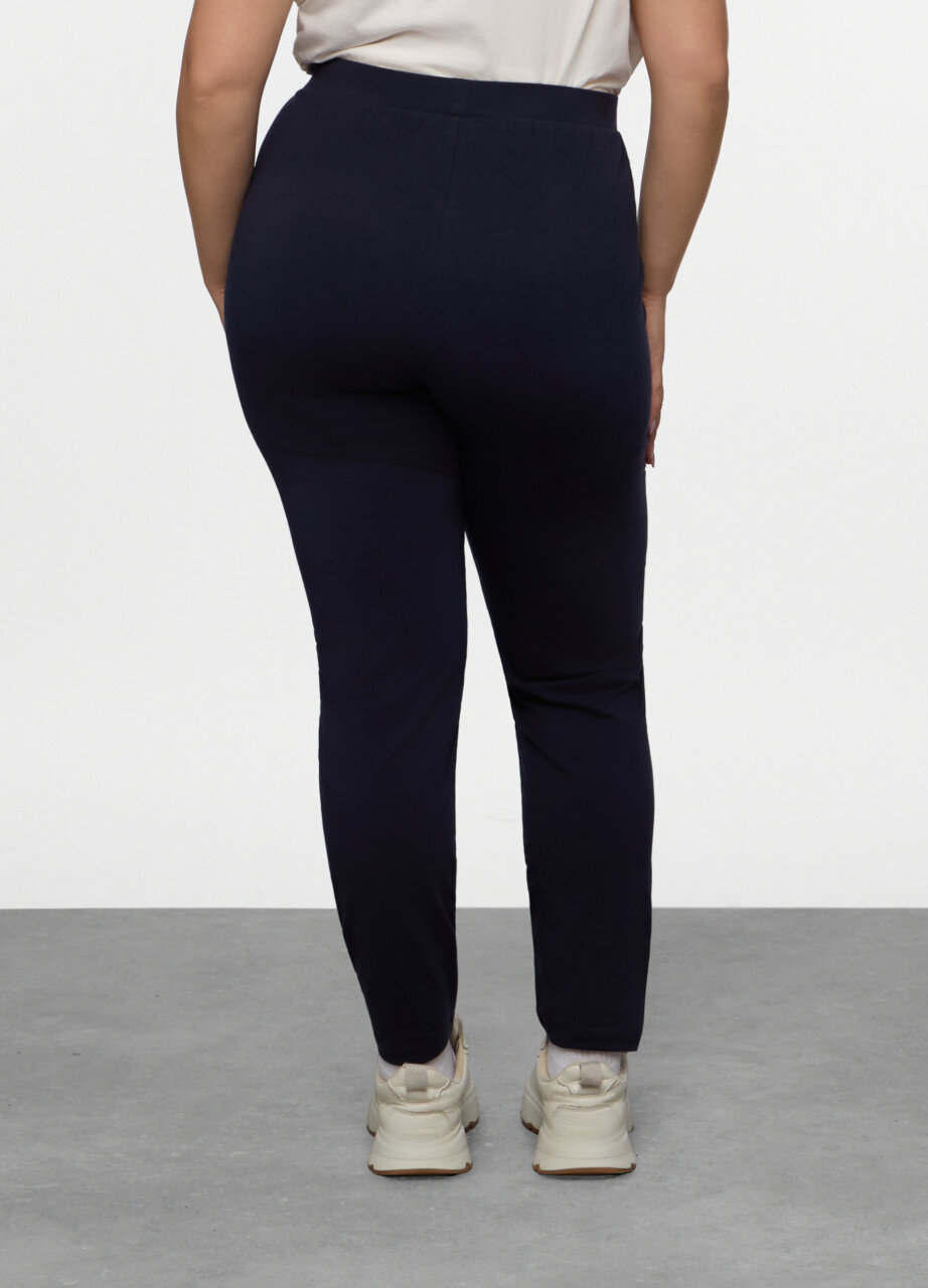 Alternative view of Trenerka