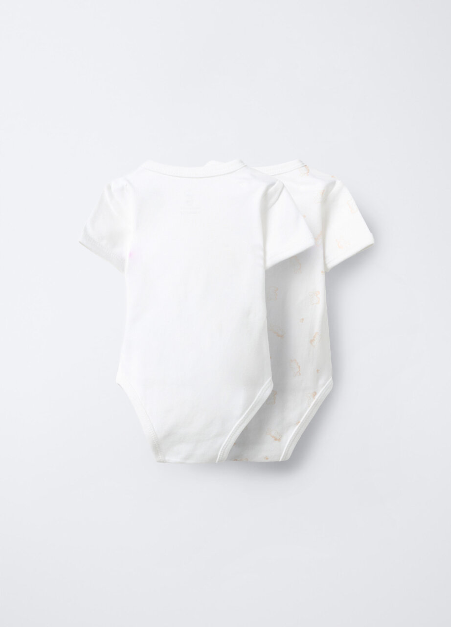 Alternative view of Body set